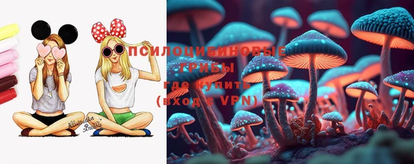 PSILOCYBIN Абаза