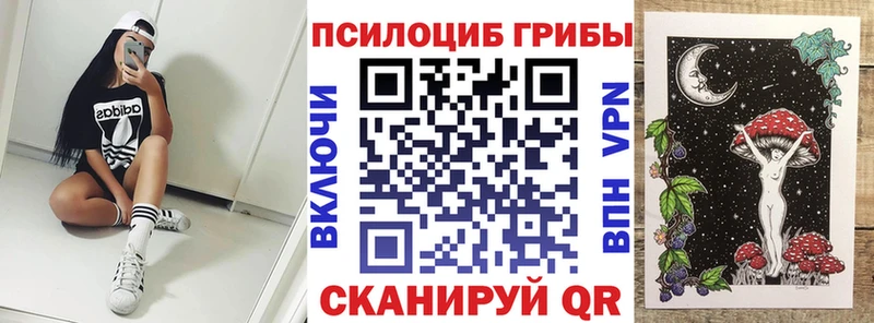кракен как зайти где можно купить Нахабино Псилоцибиновые грибы Psilocybine cubensis