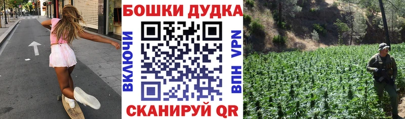 Конопля планчик площадка официальный сайт Нахабино